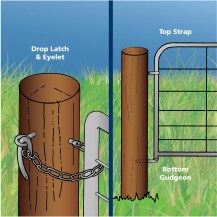 13781 - FG2 Drop Latch illustration 1200px